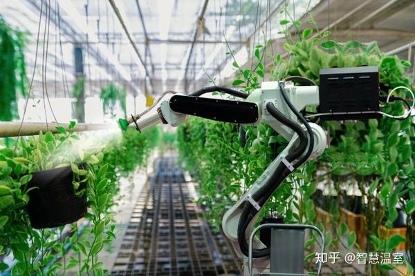 物聯(lián)網(wǎng)技術(shù)研發(fā) 智能溫室與植物工廠高效運營的核心驅(qū)動力